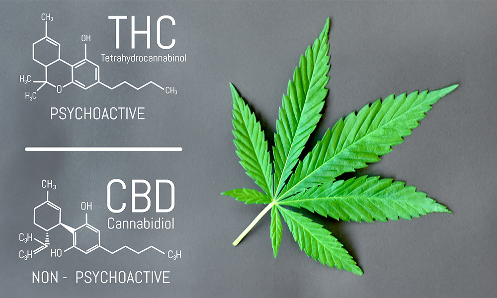 CBD and THC