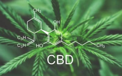 CBD Oil Benefits List