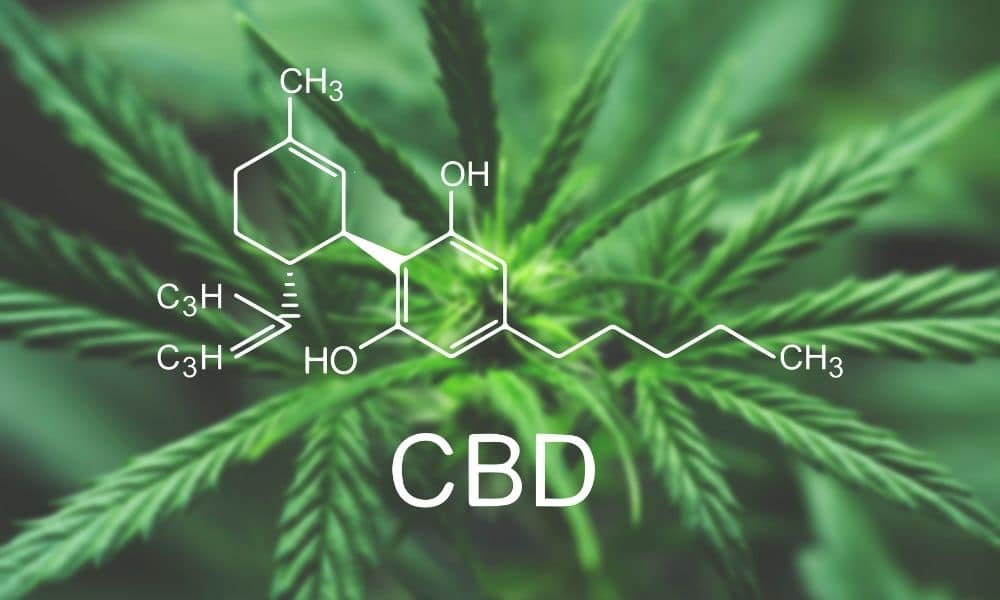 CBD Oil Benefits List